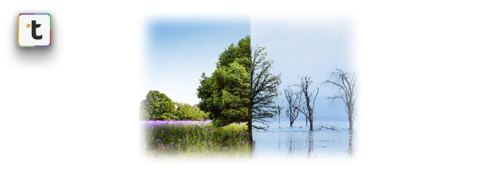 Kıştan Yaza Sezon Geçişlerinde Toptan Ürün Planlaması