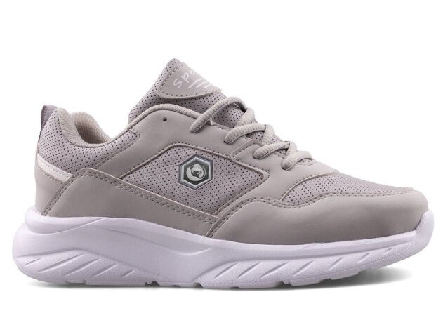 Calibron 305 Zenne Cilt - Buz B.T - 1